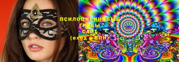 гашик Зерноград
