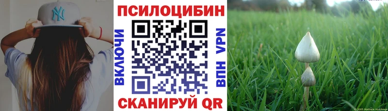 Купить  Лосино-Петровский  Галлюциногенные грибы мухоморы 